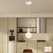 PENDEL CONFIG MATTER 12074