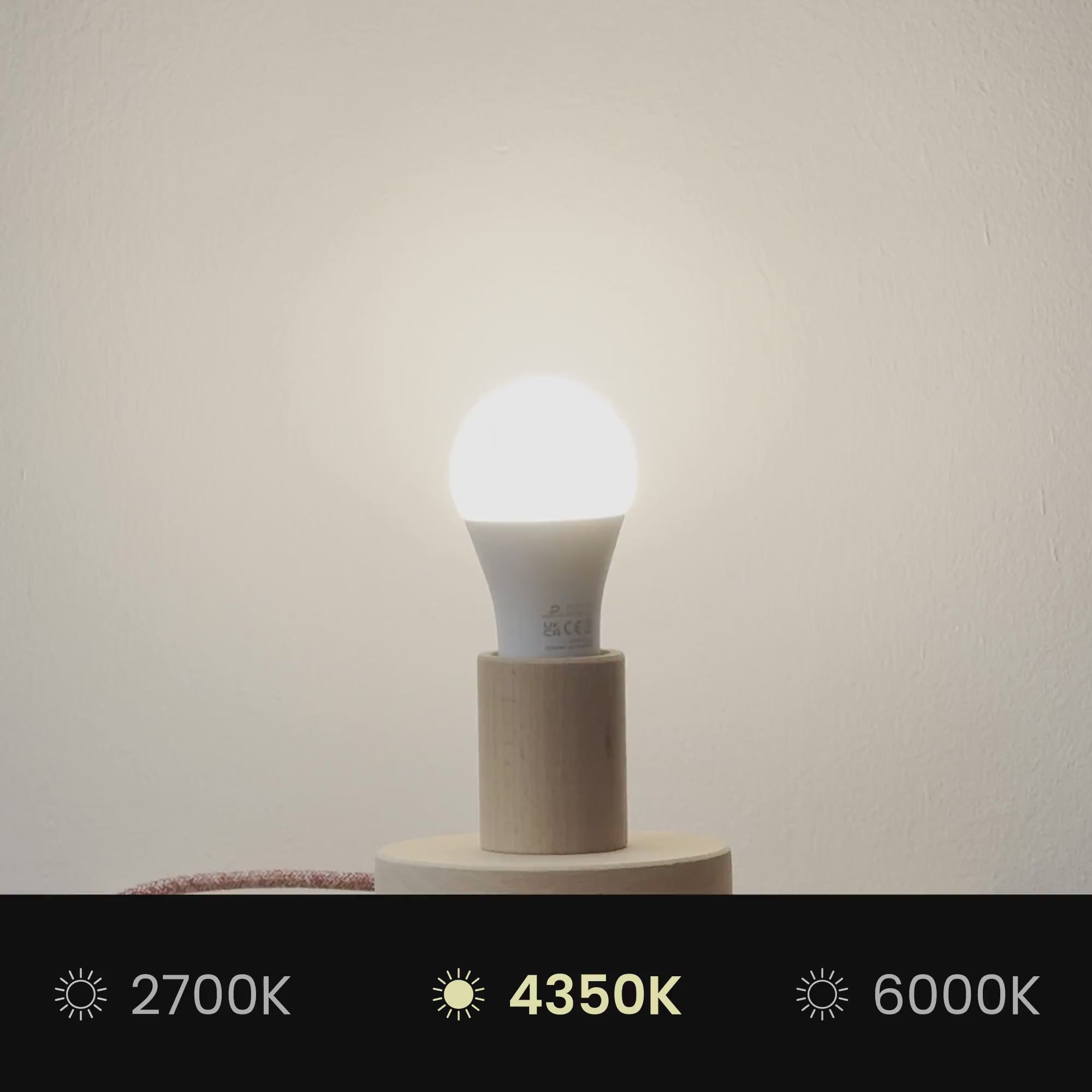 Ladda upp video: Lampskärm Impero L för bordslampa eller vägglampa med E27-fattning - Made in Italy - Cinette Pistagegrön